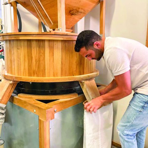 PHOTO-2023-07-02-09-34-13